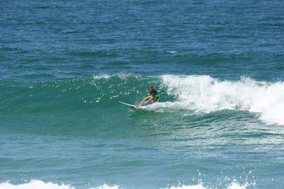 DSC_0784.JPG