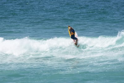 DSC_0809.JPG