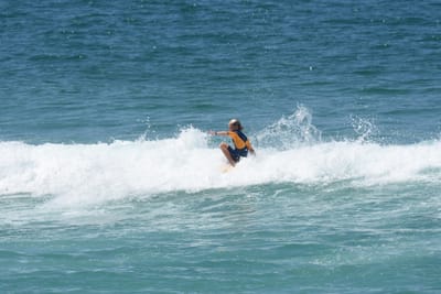 DSC_0813.JPG