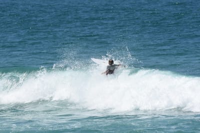 DSC_0825.JPG