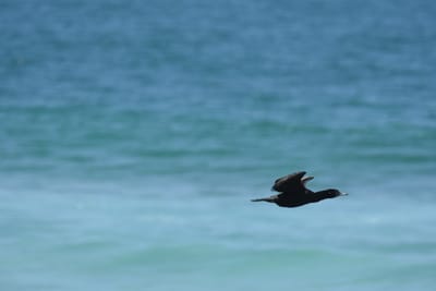 DSC_0826.JPG