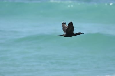 DSC_0828.JPG