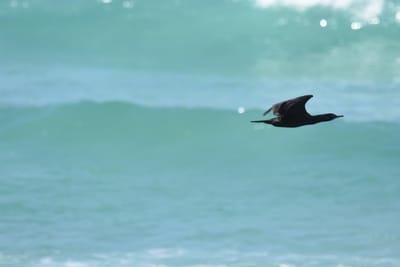 DSC_0829.JPG