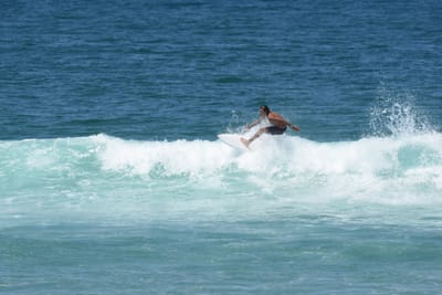DSC_0887.JPG