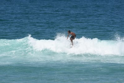 DSC_0890.JPG