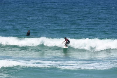 DSC_0893.JPG
