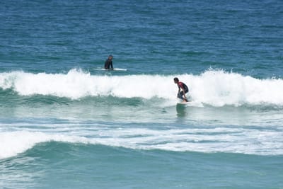 DSC_0894.JPG
