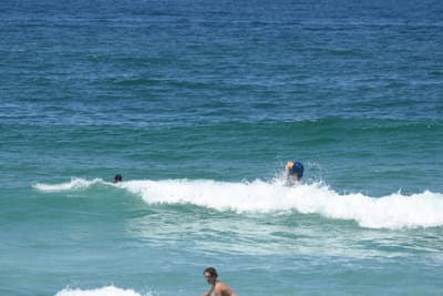 DSC_0912.JPG