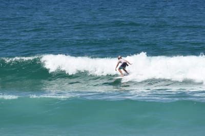 DSC_0913.JPG