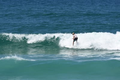 DSC_0914.JPG