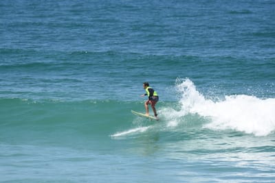 DSC_0930.JPG