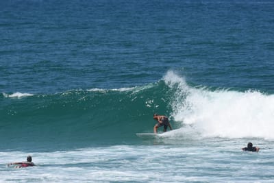 DSC_0938.JPG