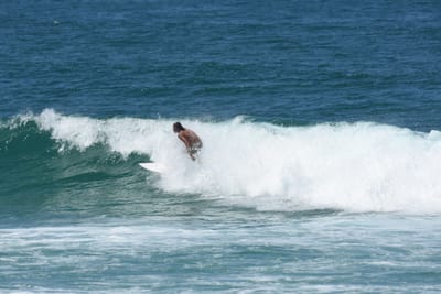 DSC_0949.JPG