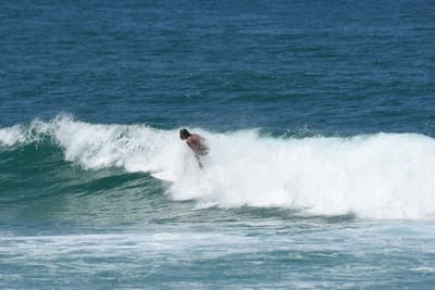 DSC_0950.JPG