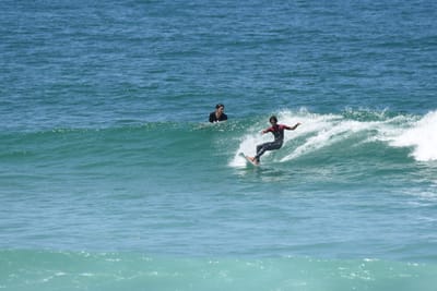 DSC_1013.JPG
