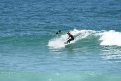 DSC_1015.JPG
