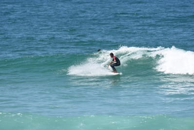 DSC_1016.JPG