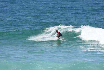 DSC_1017.JPG