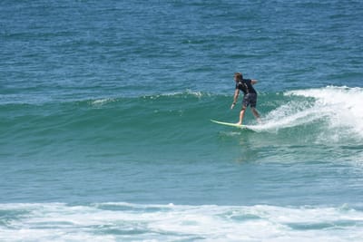 DSC_1062.JPG