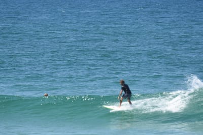 DSC_1065.JPG