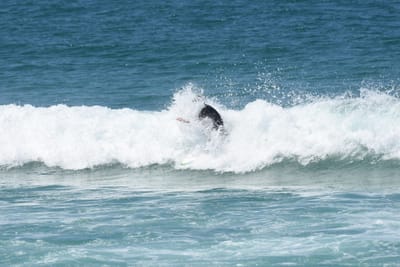 DSC_1089.JPG