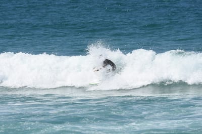 DSC_1090.JPG