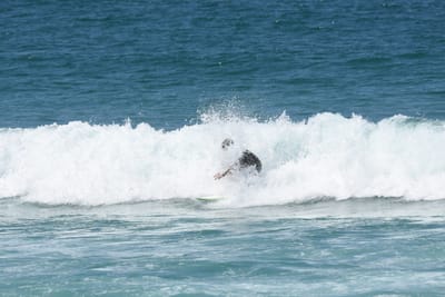 DSC_1091.JPG