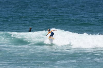 DSC_1126.JPG