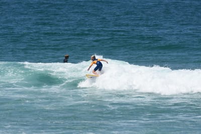 DSC_1127.JPG