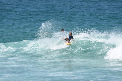 DSC_1137.JPG
