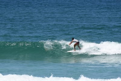 DSC_1141.JPG
