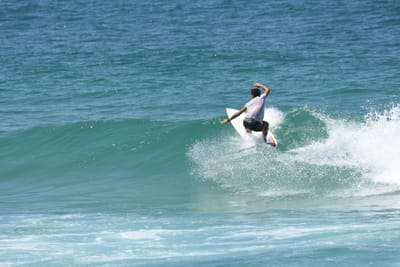 DSC_1172.JPG