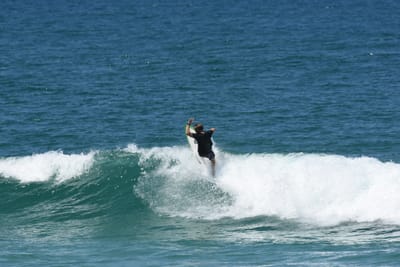DSC_1195.JPG