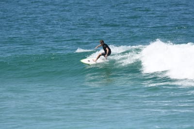 DSC_1208.JPG