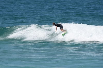 DSC_1217.JPG