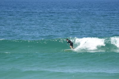 DSC_1233.JPG