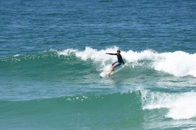 DSC_1244.JPG