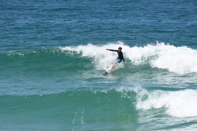 DSC_1245.JPG