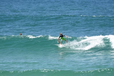 DSC_1263.JPG