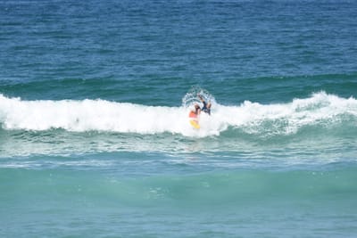 DSC_1302.JPG