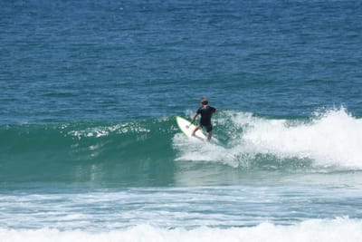 DSC_1333.JPG