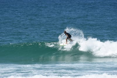 DSC_1337.JPG
