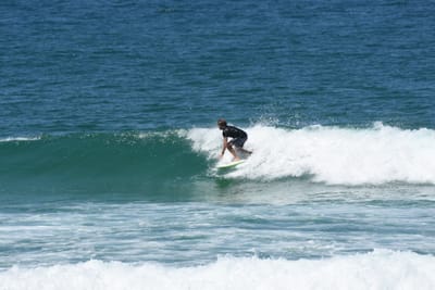 DSC_1341.JPG