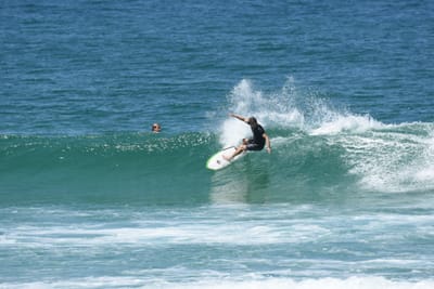 DSC_1352.JPG