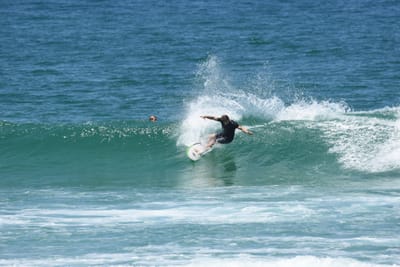 DSC_1353.JPG