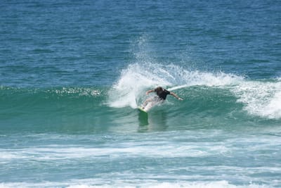 DSC_1354.JPG