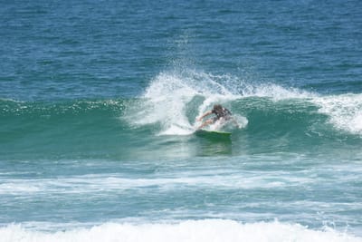 DSC_1355.JPG