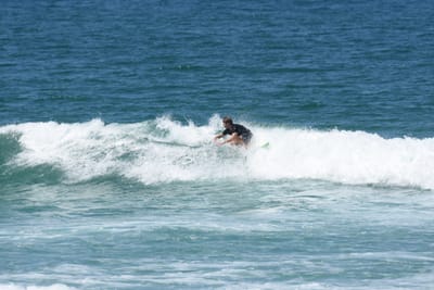 DSC_1361.JPG