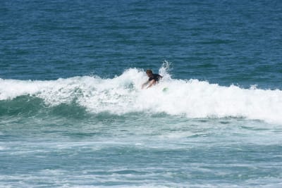 DSC_1363.JPG
