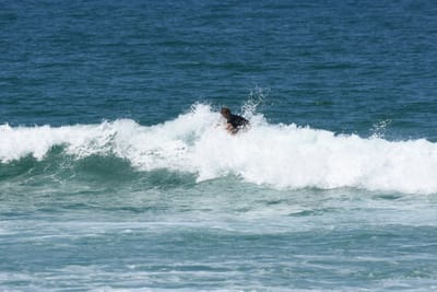 DSC_1364.JPG